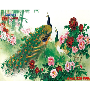 Gạch 3d Phòng Khách CP207