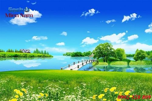 Tranh gạch 5D có những kích thước nào?