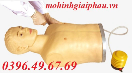 Mô hình chọc dò tràn khí màng phổi