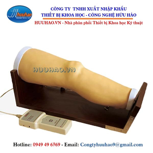 Mô hình tiêm khớp gối điện tử