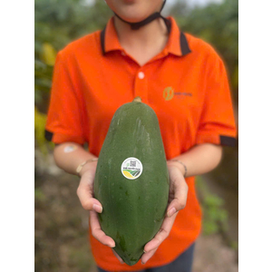 Đu đủ ruột vàng chuyển đổi hữu cơ