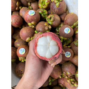 Măng cụt lái thiêu chuyển đổi hữu cơ