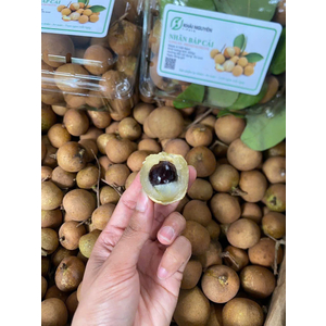Nhãn bắp cải (Thanh nhãn) vũng tàu chuyển đổi hữu cơ
