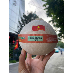 Dừa xiêm gọt trọc Bến tre chuyển đổi hữu cơ