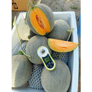 Dưa lưới mật chuyển đổi hữu cơ