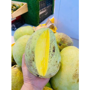 XOÀI TỨ QUÝ HỮU CƠ VIETGAP