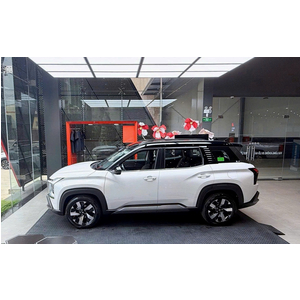 Mitsubishi Destinator Ultimate màu Trắng nóc đen