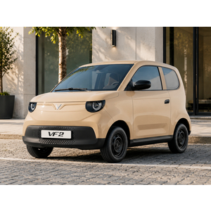 Vinfast VF2 2026