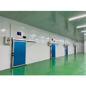 GIẢI PHÁP TOÀN DIỆN CHO SẦU RIÊNG CẤP ĐÔNG