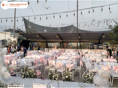 Giảm giá 25% dịch vụ cho thuê ghế Tiffany tổ chức tiệc cưới