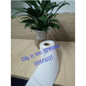 Máy in đơn GHN (Giao Hàng Nhanh) Xprinter XP 420B khổ 80*80mm