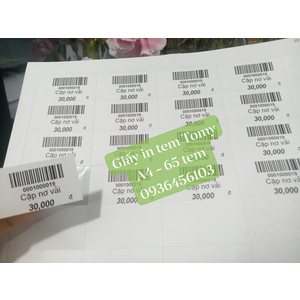 Giấy in tem mã vạch Tomy A4 145