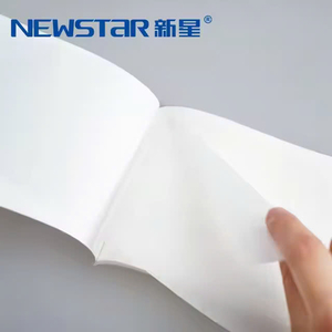 Giấy lau kính hiển vi NEWSTAR (10 x 15 cm)