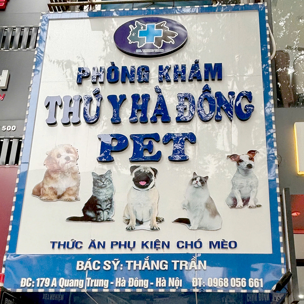 Hà Đông Pet