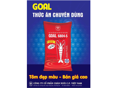 GOAL 6804 -S
