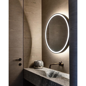 Gương toilet Citybuilding CBJ 022C