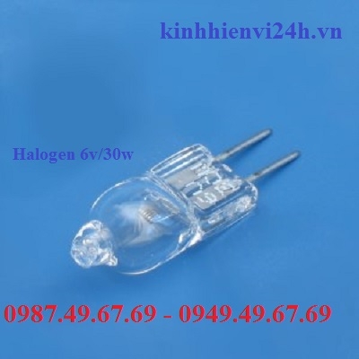 Bóng đèn Halogen 6v/30w cho kính hiển vi