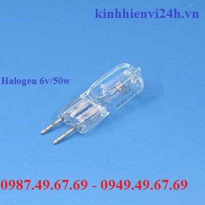 Bóng đèn Halogen 6v/50w cho kính hiển vi