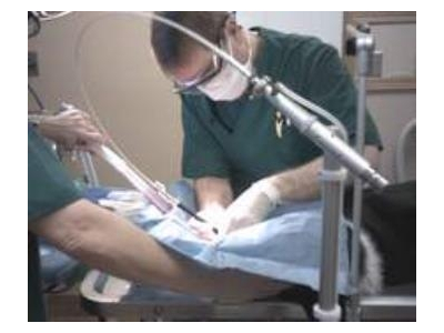 Hàn mô sinh học và những ứng dụng trong ngoại khoa