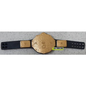 [HÀNG HIẾM] ĐAI MÔ HÌNH WORLD HEAVYWEIGHT CHAMPION WWE SHEAMUS - ELITE 17
