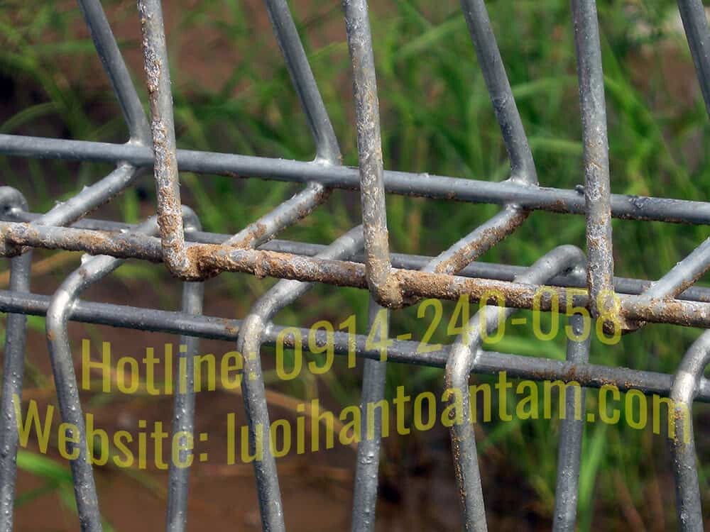 hang-rao-luoi-thep-ma-kem