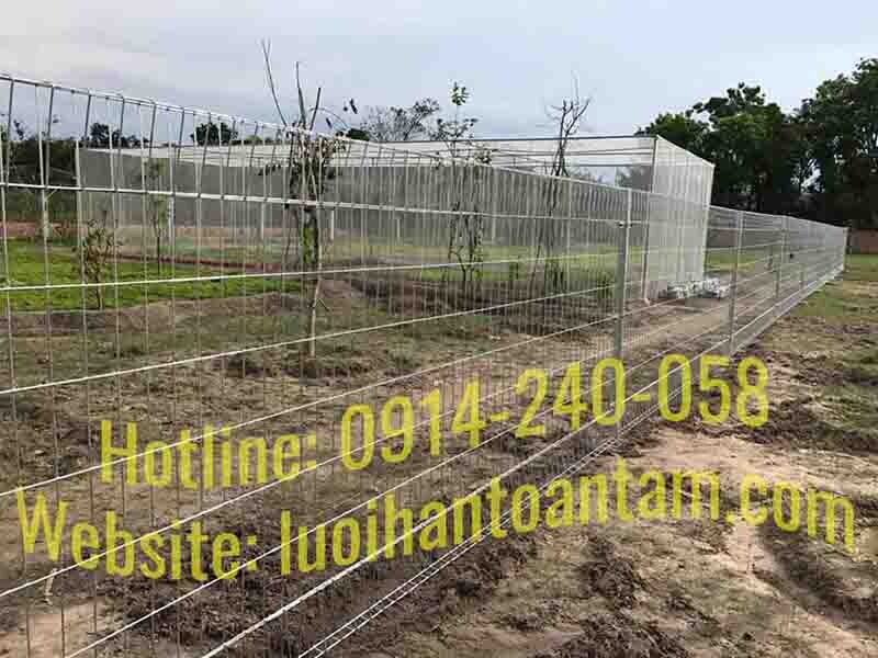 Hàng rào lưới thép