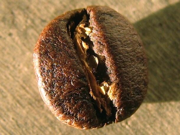 Hạt cà phê Arabica Bourbon sau khi rang
