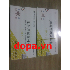 HCG Vàng Kích Dục Tố HCG Vàng Cho Ếch, Cá, Thủy Sản Sinh Sản Nhân Tạo