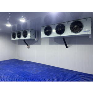 HỆ THỐNG KHO CẤP TRỮ ĐÔNG SẦU RIÊNG VÀ PHÒNG SẠCH SX - VỰA SẦU RIÊNG ĐỨC SƠN - BÌNH PHƯỚC