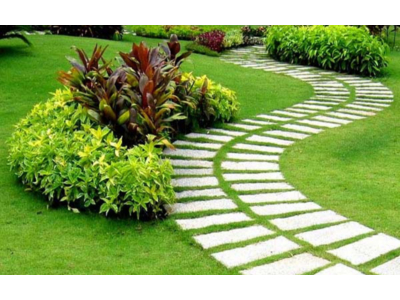 Hệ thống tưới nước cảnh quan - Tưới tự động