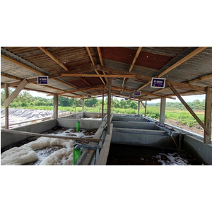 Giải pháp xử lý nước thải chăn nuôi 60 m³/ngày.đêm – Tối ưu chi phí, đảm bảo môi trường