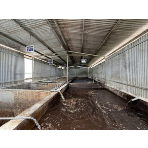 Giải pháp xử lý nước thải chăn nuôi 60 m³/ngày.đêm – Tối ưu chi phí, đảm bảo môi trường cho Trại chăn nuôi heo Nguyễn Thị Sáng