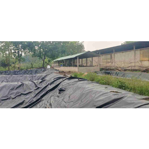 Hệ thống xử lý nước thải chăn nuôi heo của Hộ kinh doanh Nguyễn Thị Minh Nguyệt 60m³/ngày.đêm