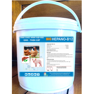 HEPANOL B12