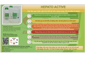 HEPATO ACTIVE