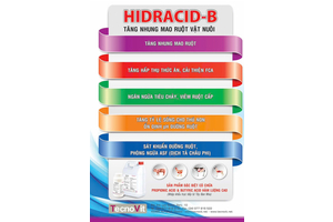 HIDRACID-B (A.Butylic+Propionic)