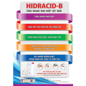 HIDRACID-B (A.Butylic+Propionic)