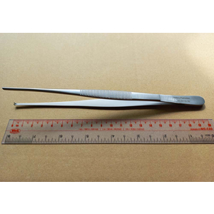 Kẹp phẫu tích Standard Slender 1x2T 20cm Hilbro 12.0110.20