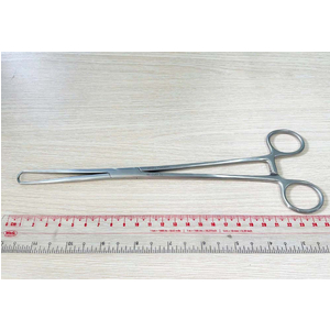 Kẹp phẫu thuật Pozzi 25.5 cm Hilbro 60.0560.25