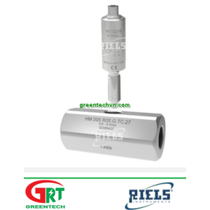 HM-F | Reils | Cảm biến lưu lượng | Liquid flow meter / turbine | Reils Instruments Vietnam