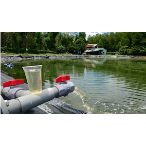 Tư Vấn Thiết Kế, Xây Dựng Hệ Thống Xử Lý Nước Thải Nông Nghiệp