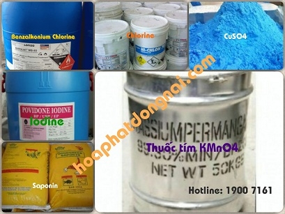 Danh sách chất xử lý và chế phẩm vi sinh sử dụng nuôi tôm, cá HPDON-TS