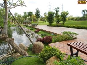 Hoa cỏ sân vườn HCSV01