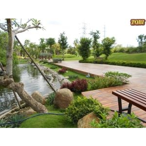 Hoa cỏ sân vườn HCSV01