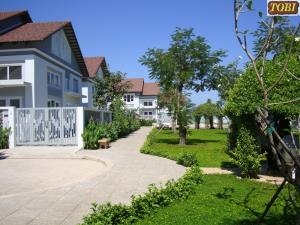 Hoa cỏ sân vườn HCSV04