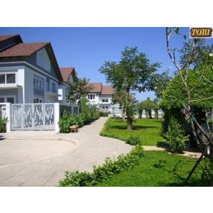 Hoa cỏ sân vườn HCSV04