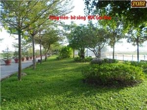 Hoa cỏ sân vườn HCSV05