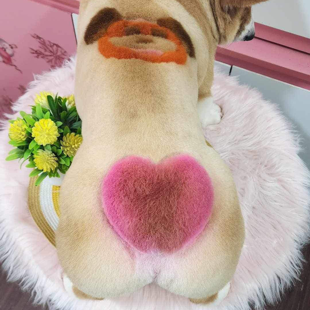 hoat-dong