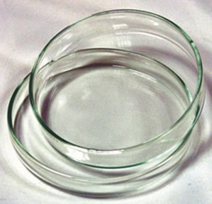 Đĩa Petri Thủy Tinh Phi 9cm