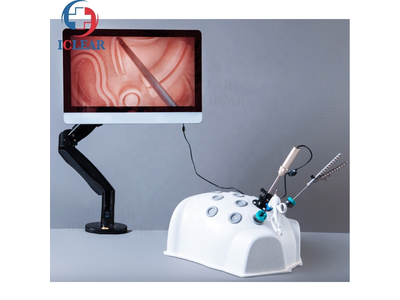 Hộp thực hành nội soi ổ bụng